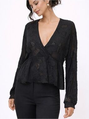 Wilfred Aritzia Sheer Embroidered Blouse Black Boho Luxe Top Classy Sexy  small